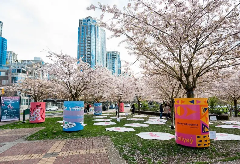 w-960h-540-41a17e-Big-Picnic-0511