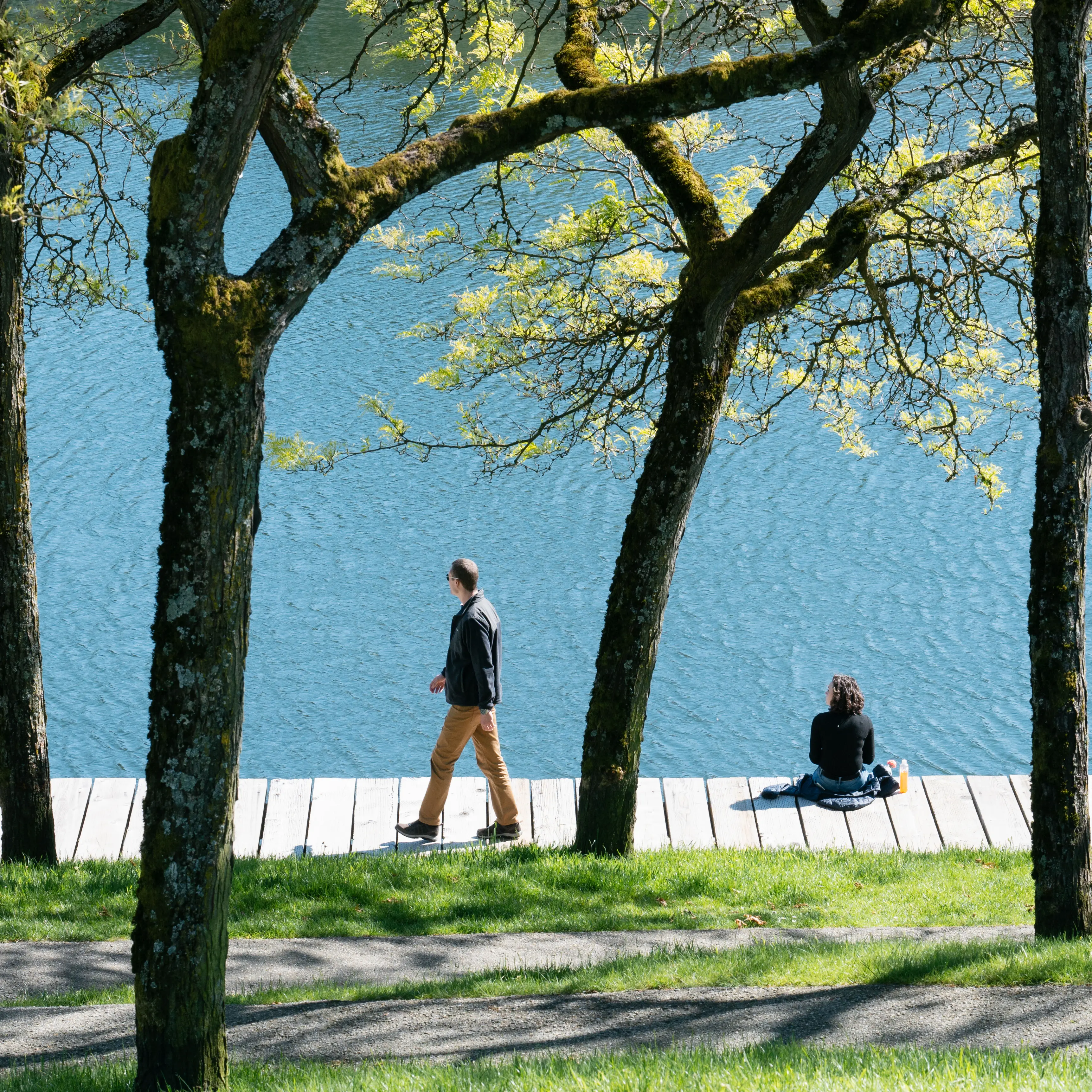 Ron Bashford Park and Ampitheatre