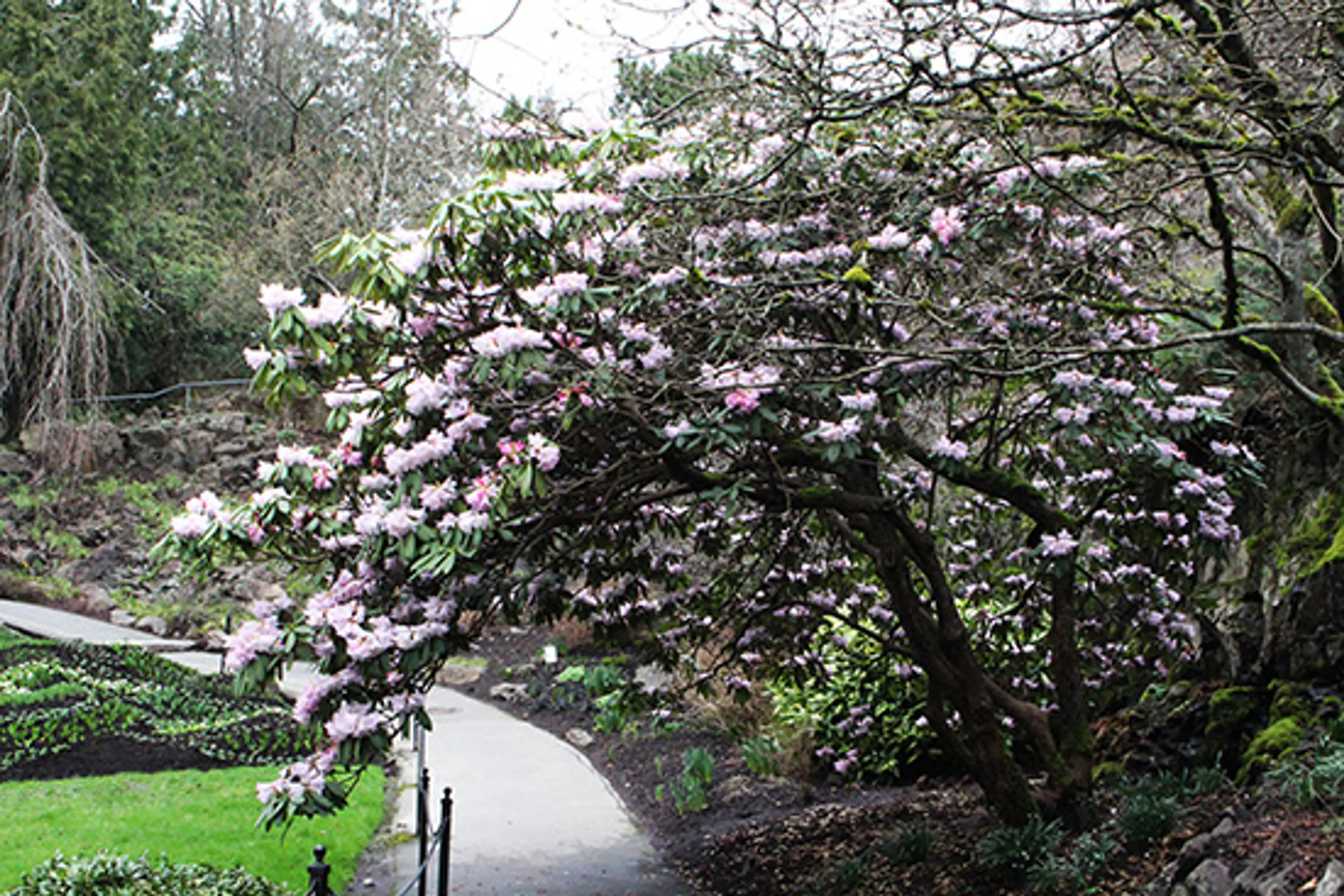 Discover-Outdoors-Spring2