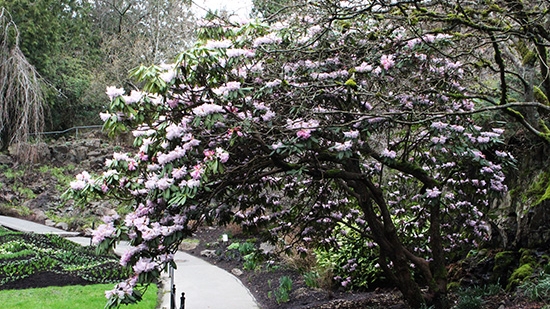 Discover-Outdoors-Spring2