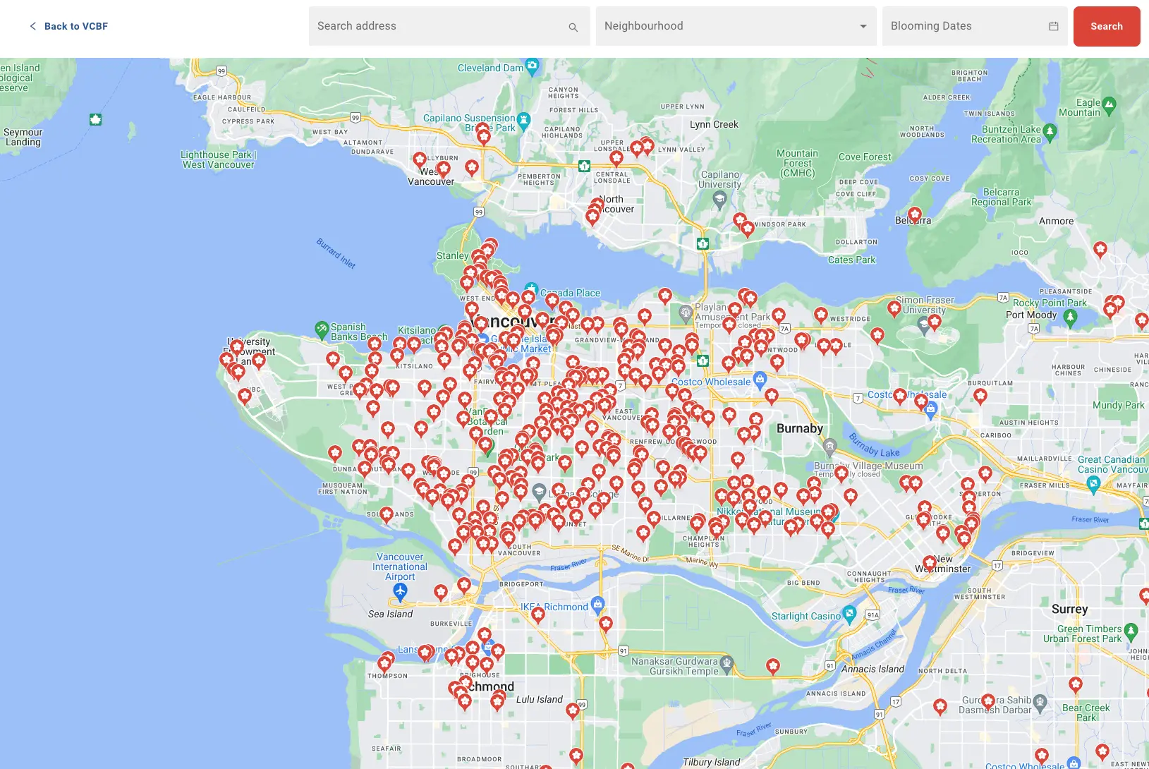 Map showing 2024 cherry blossom locations in Vancouver