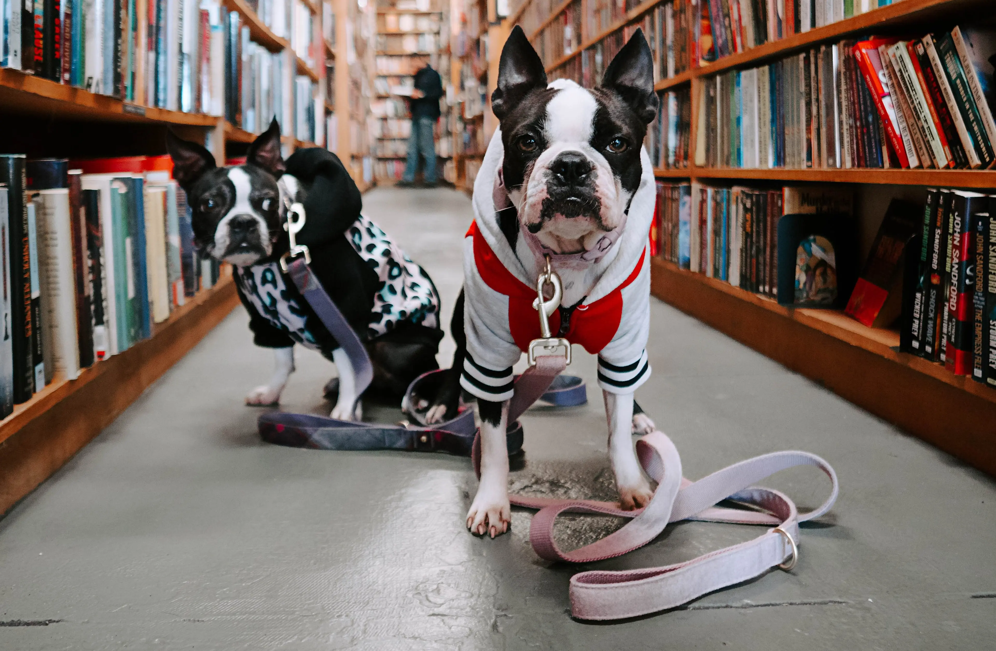 Could this be the most wholesome event of the year in Vancouver?