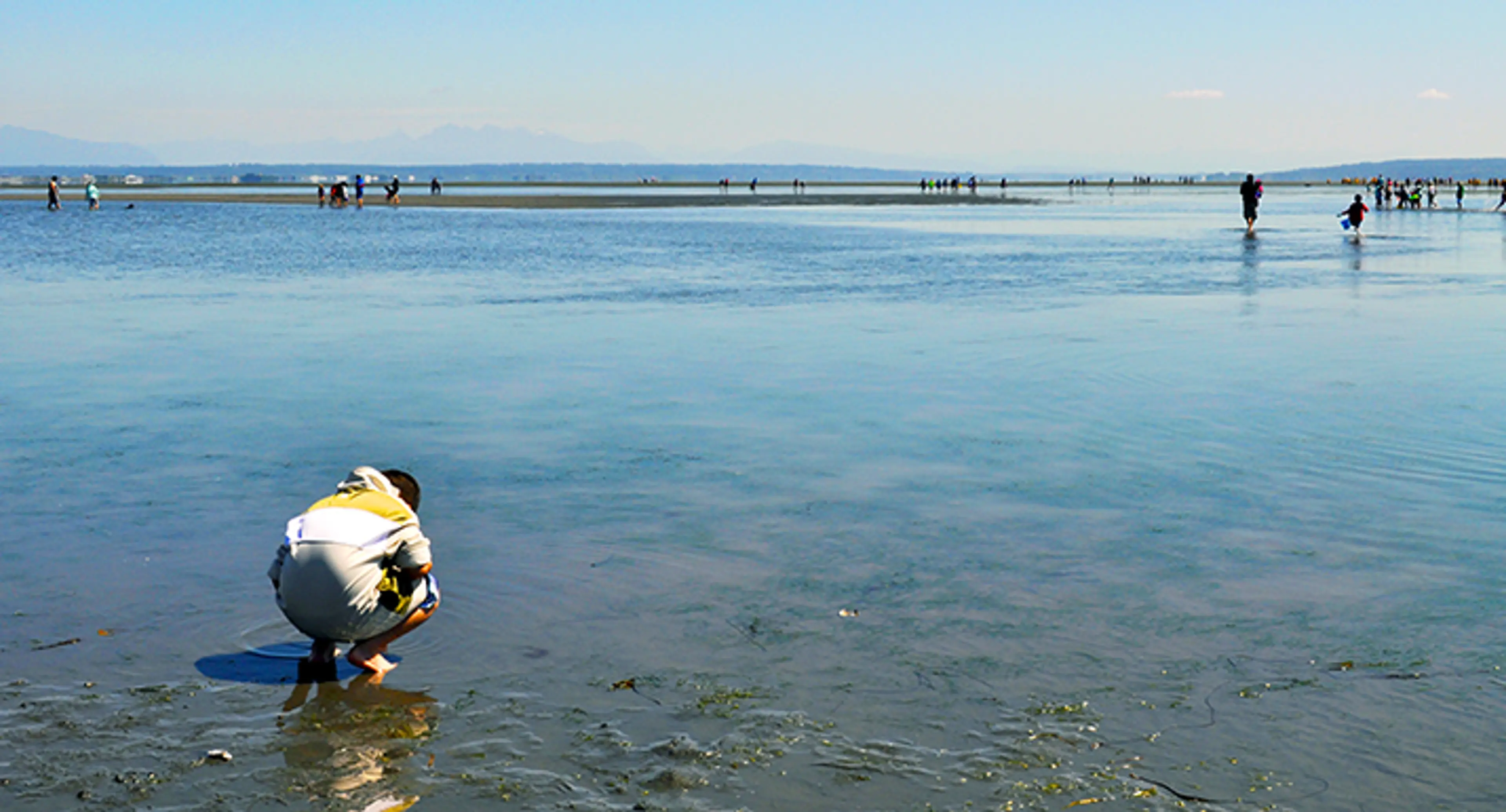 Centennial Beach at Boundary Bay Regional Park