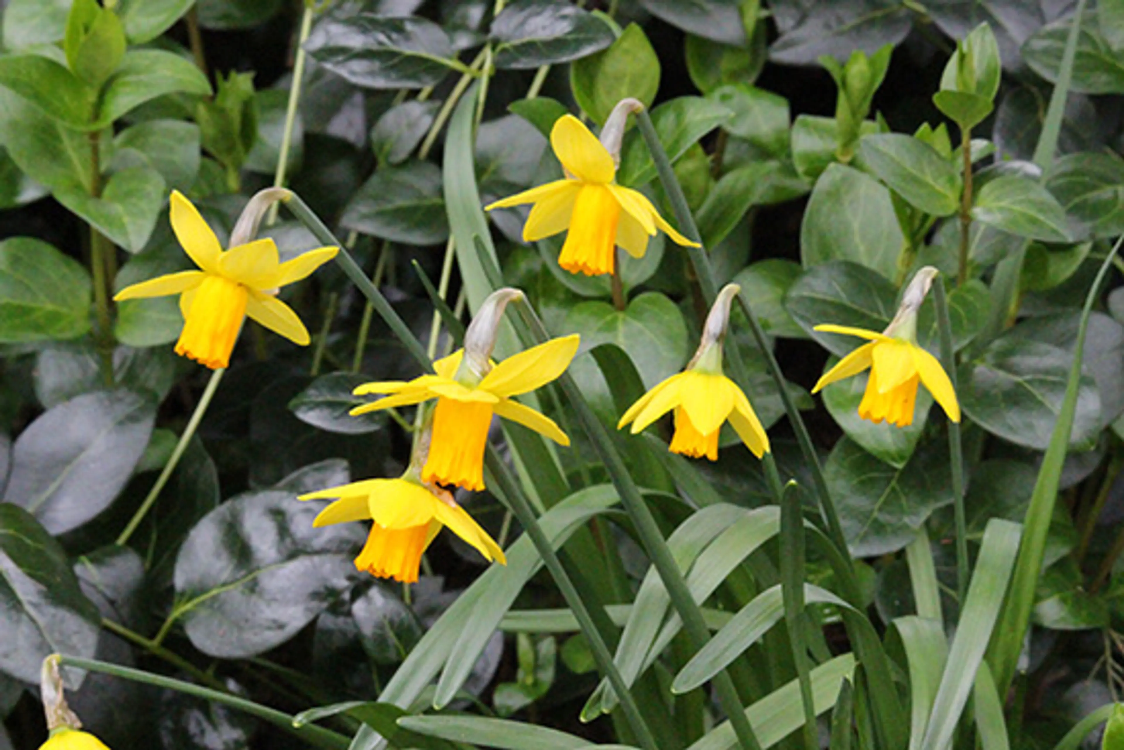 Discover-Outdoors-Spring7