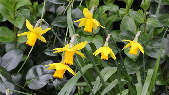 Discover-Outdoors-Spring7