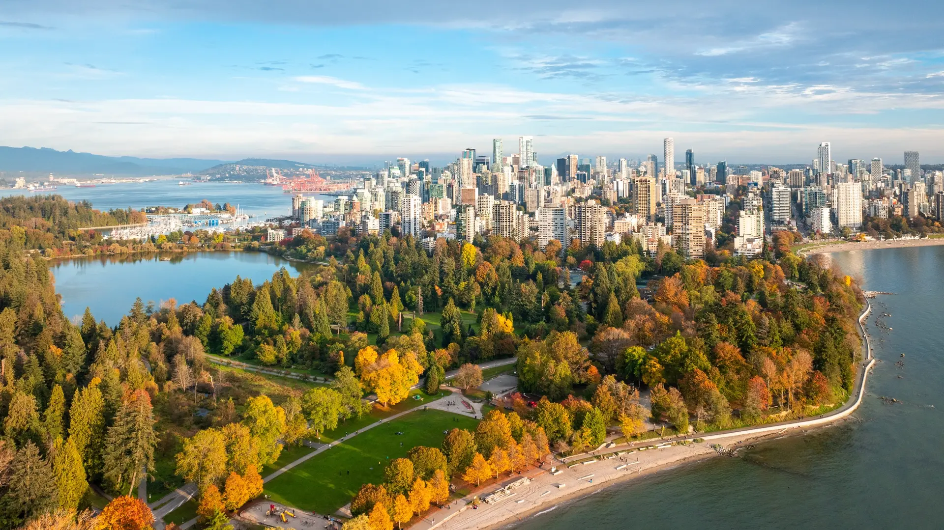 Aerial shot of Stanley Park with fall colours.