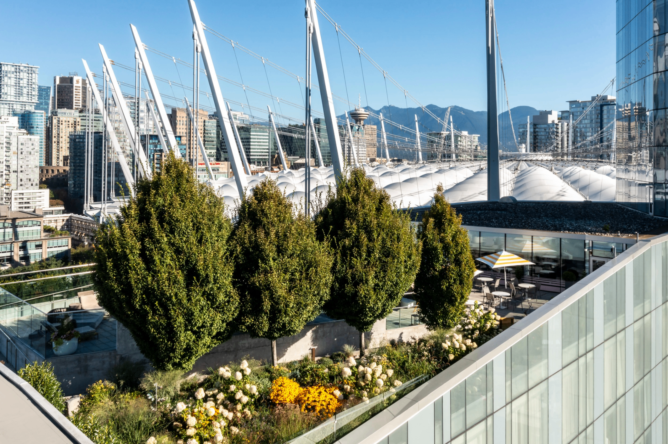 Rooftop garden with trees, flowers, and seating area overlooking a cityscape with a stadium and mountains in the background.