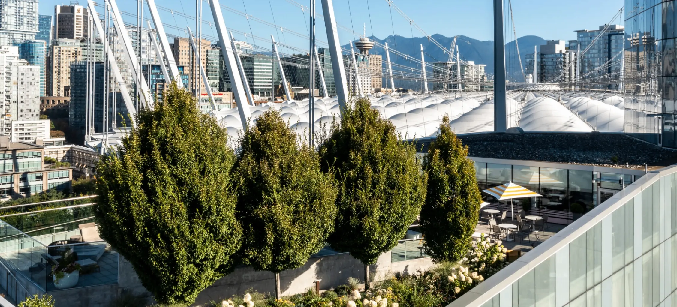 Rooftop garden with trees, flowers, and seating area overlooking a cityscape with a stadium and mountains in the background.