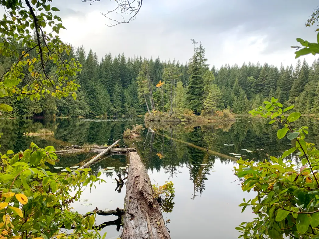 Stump Lake on the Four Lakes Trail in Alice Lake Provincial Park in Squamish