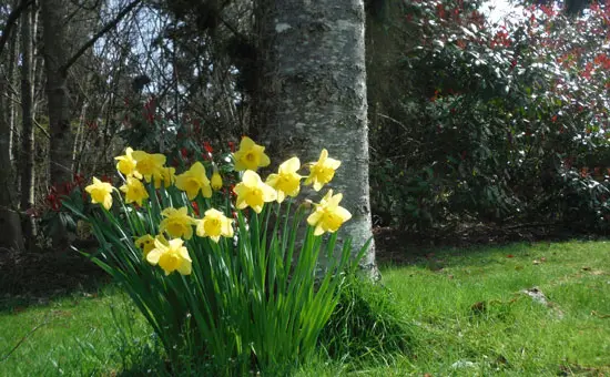 These are a few of my favourite things – Spring in Vancouver