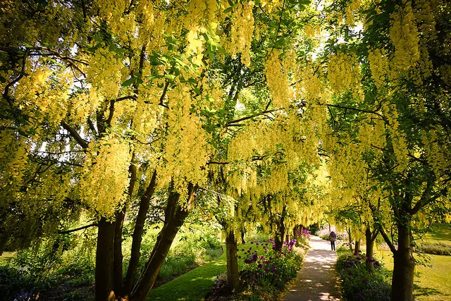outdoor yoga vancouver
