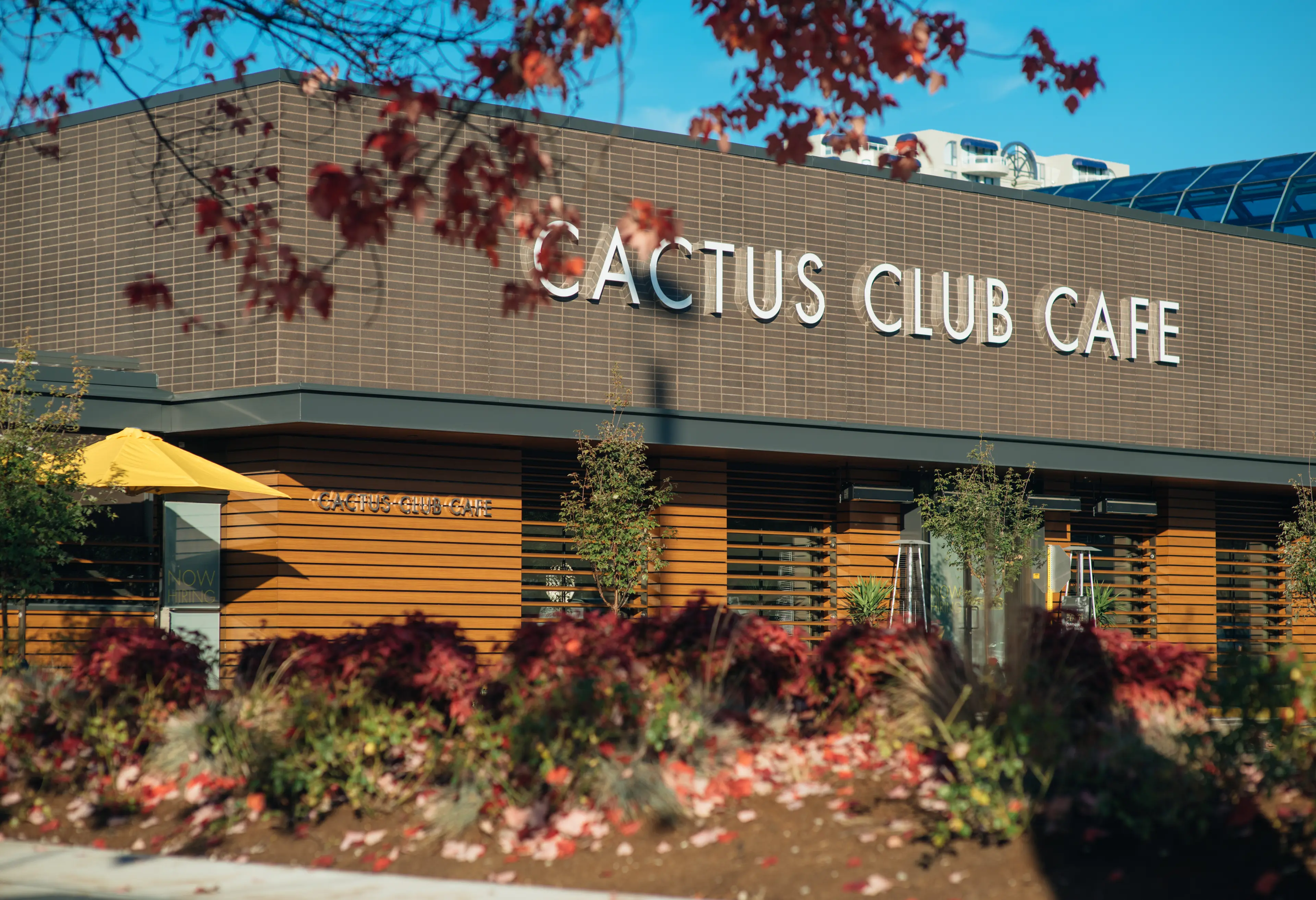 CC_102617_RichmondCentre_PreOpen_H8_SELECT_6B008FB5-3697-4305-B19013E99E81E2AC_5ab8bdaf-e5c0-4b09-b86b87205169735d