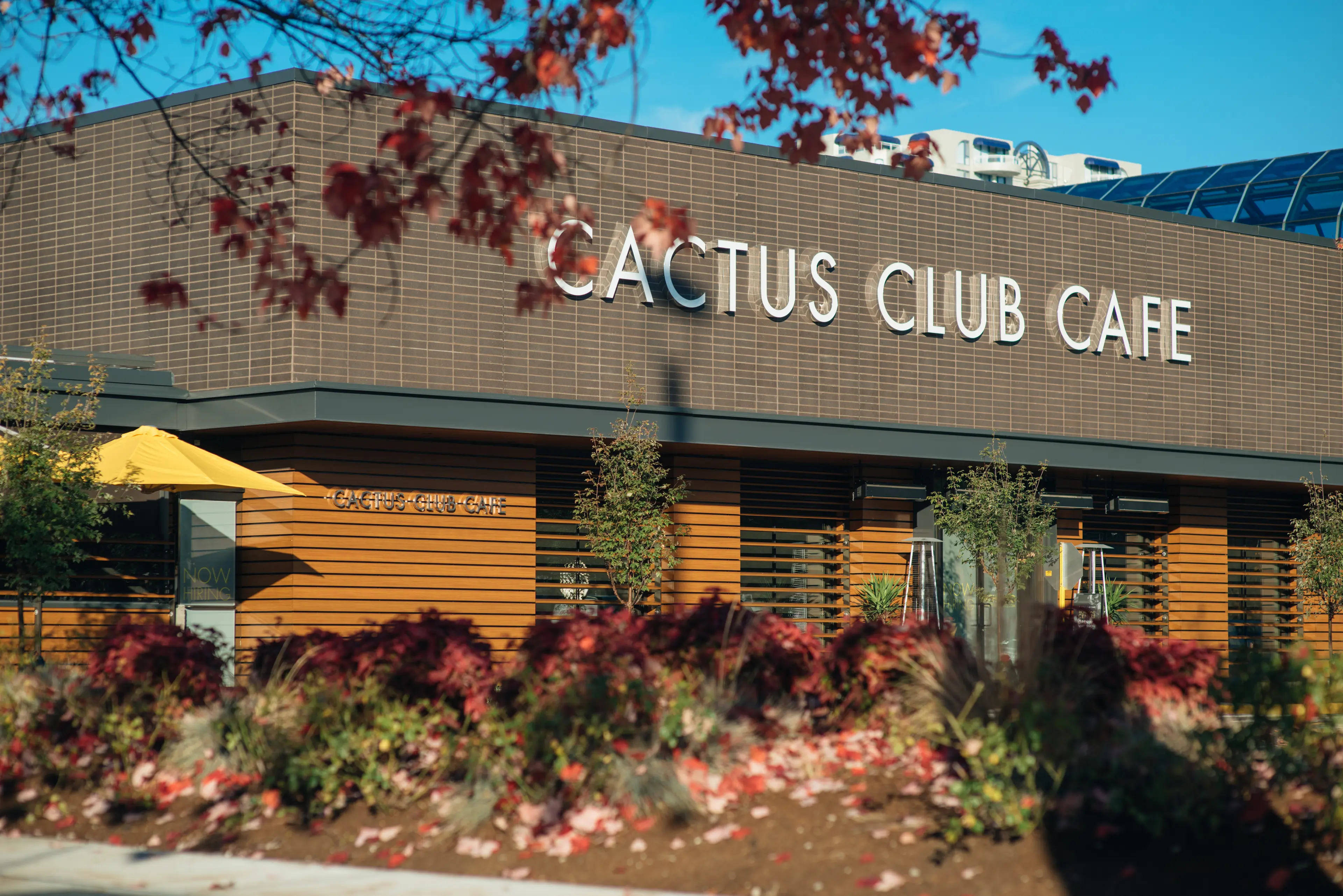 CC_102617_RichmondCentre_PreOpen_H8_SELECT_6B008FB5-3697-4305-B19013E99E81E2AC_5ab8bdaf-e5c0-4b09-b86b87205169735d