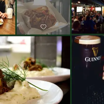 shamrock_2A1FE751-5056-B3A8-49597523933BA85D-2a1fe6065056b3a_2a1feea0-5056-b3a8-491a1c39bde6a514