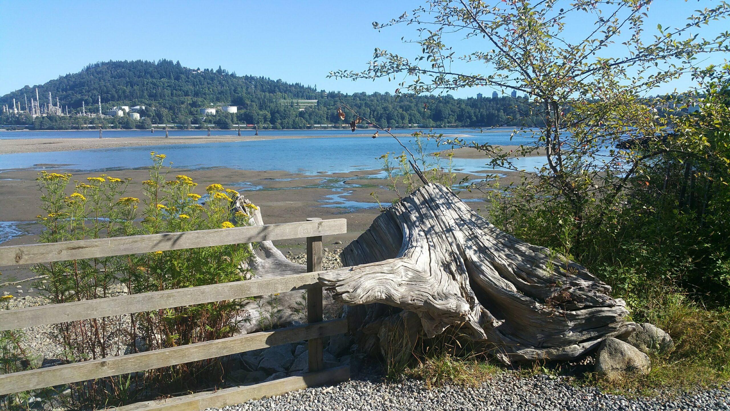 February 2023 Vancouver Hike of the Month: Maplewood Flats