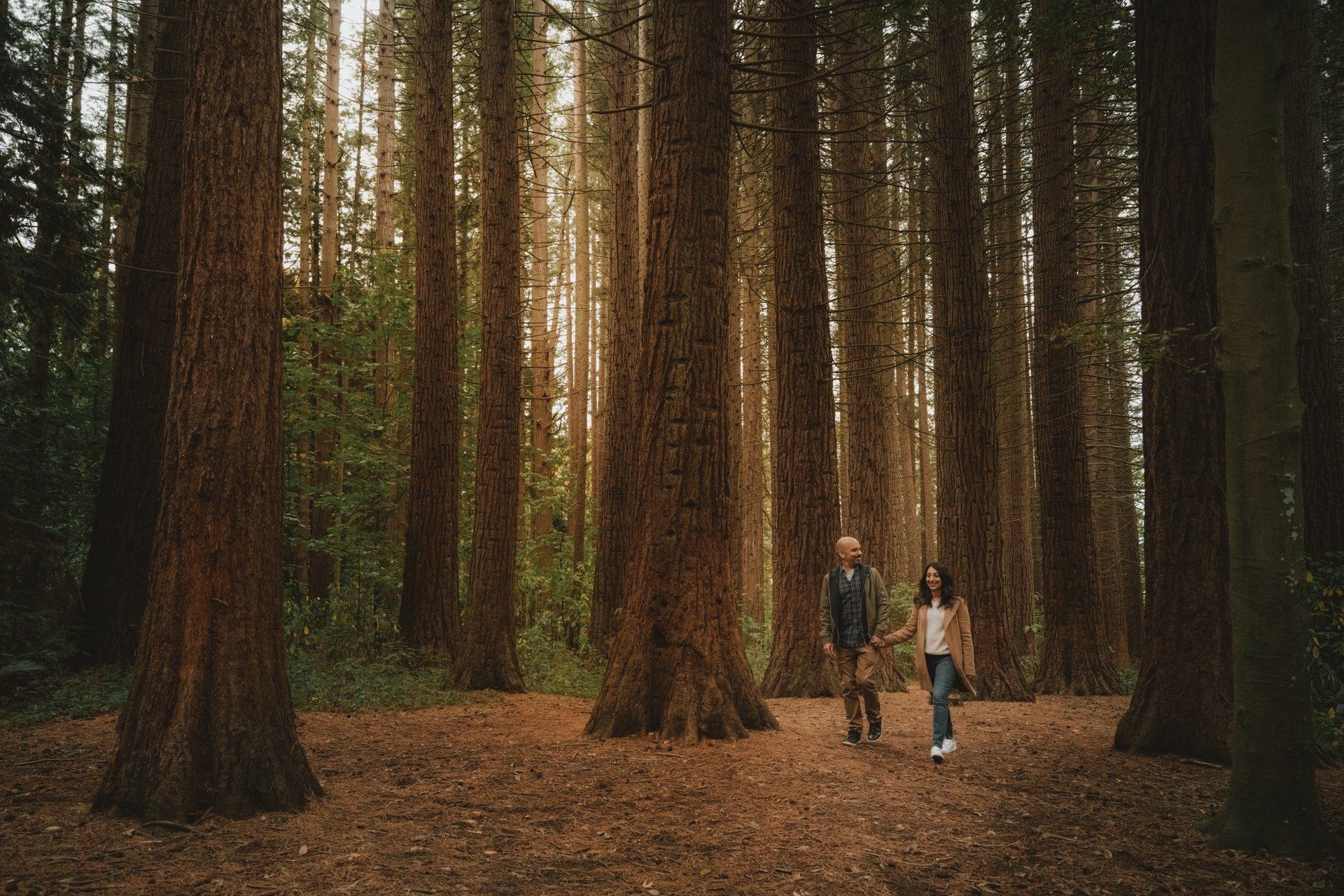 Redwood Park, Surrey