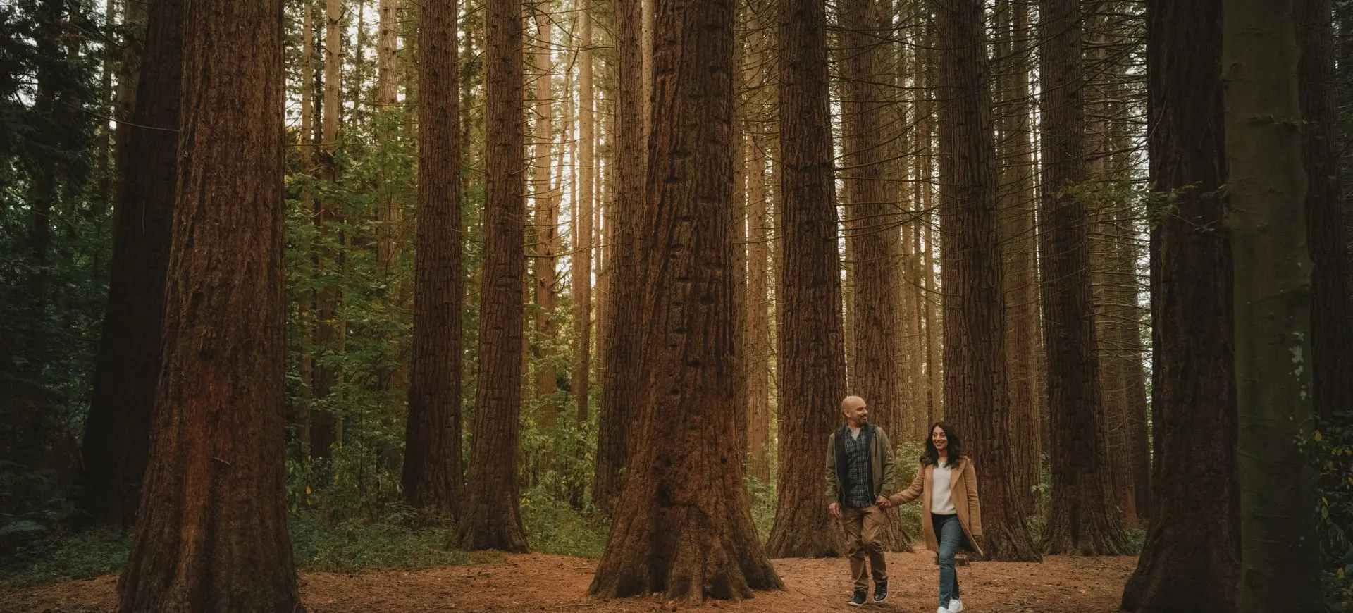 Redwood Park, Surrey