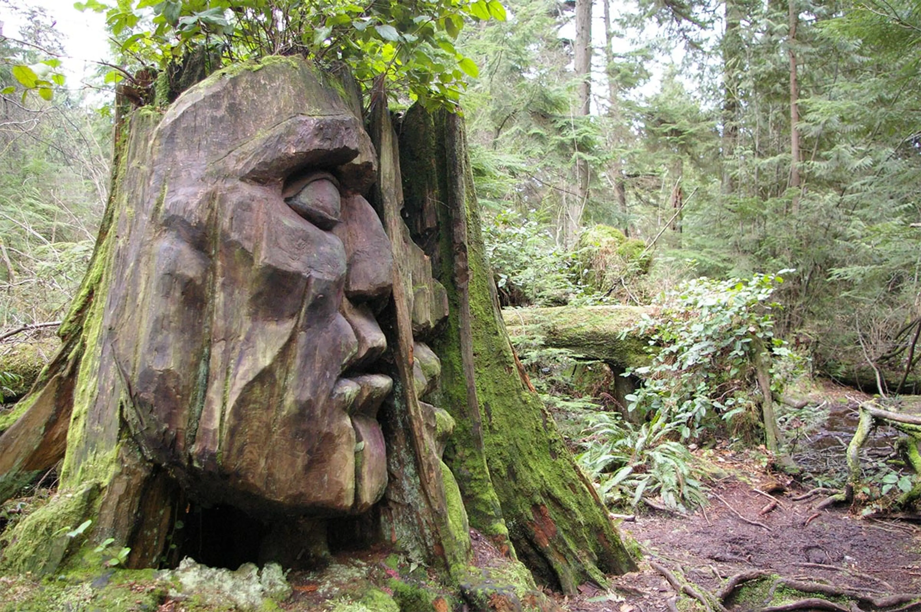 Stanley Park