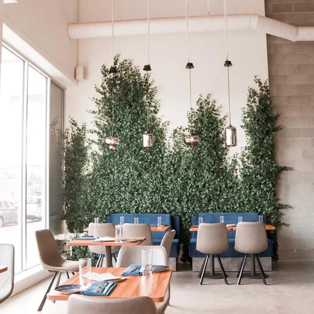 IMG-20191001-WA0015_62A213B8-EFF3-43DF-B404B9E3051E28EE_1baab793-885f-4abf-827e3aa902109b83