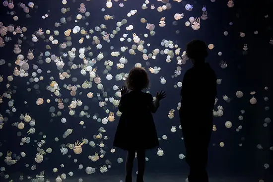 5 Ways to Enjoy Spring Break at the Vancouver Aquarium