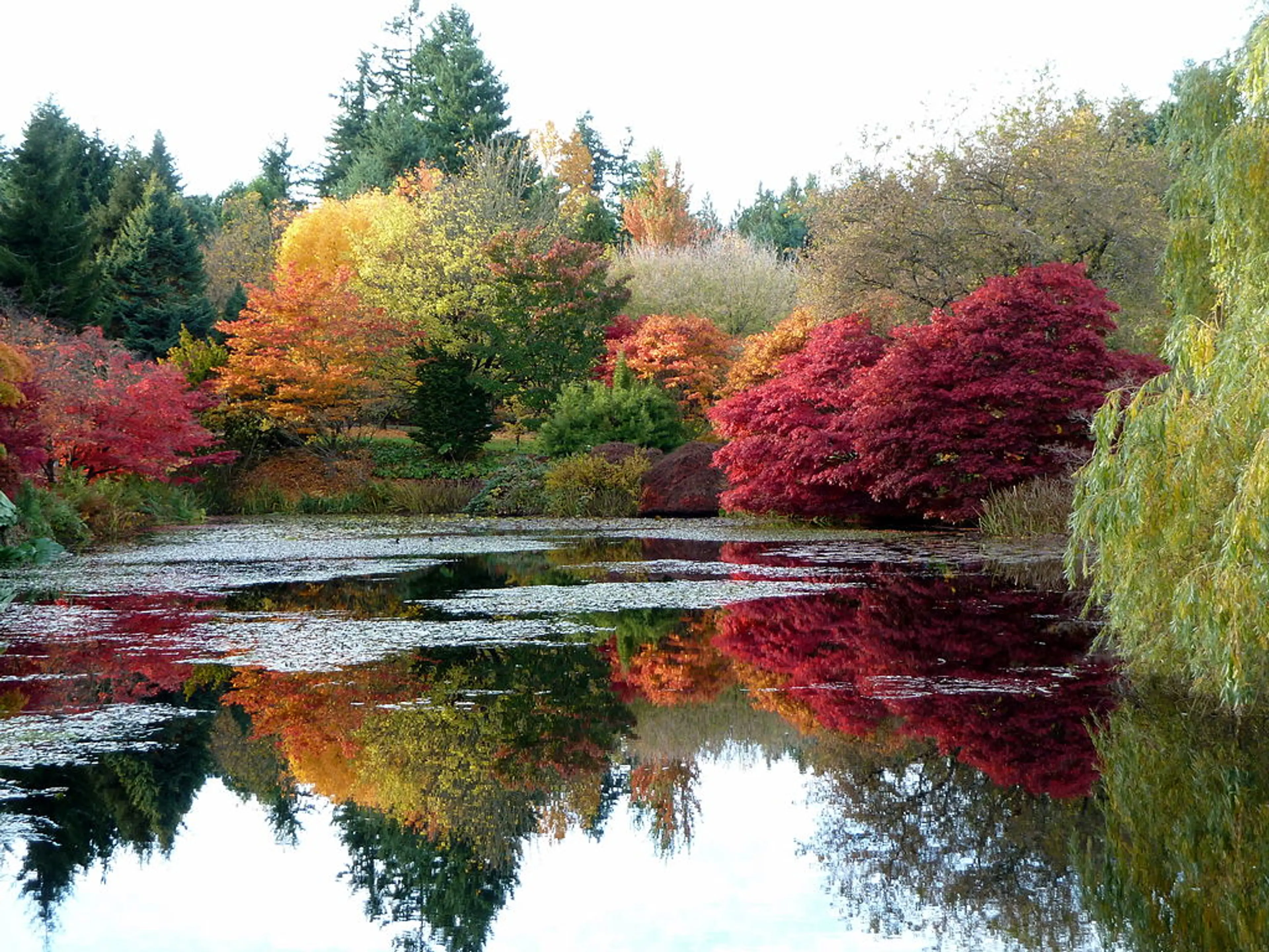 Van Dusen Gardens in Fall