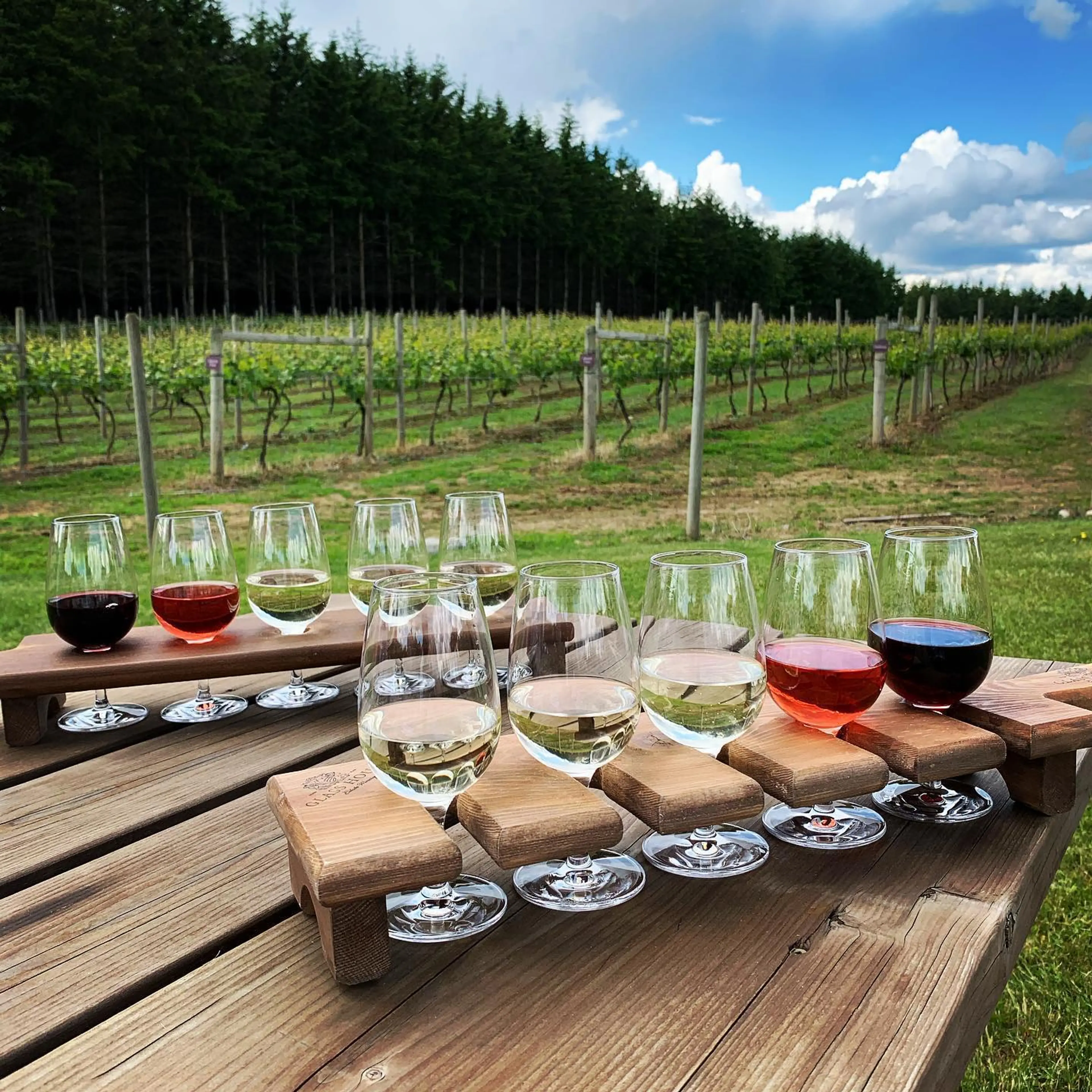 5 Wine Experiences to Add to Your Vancouver Bucket List