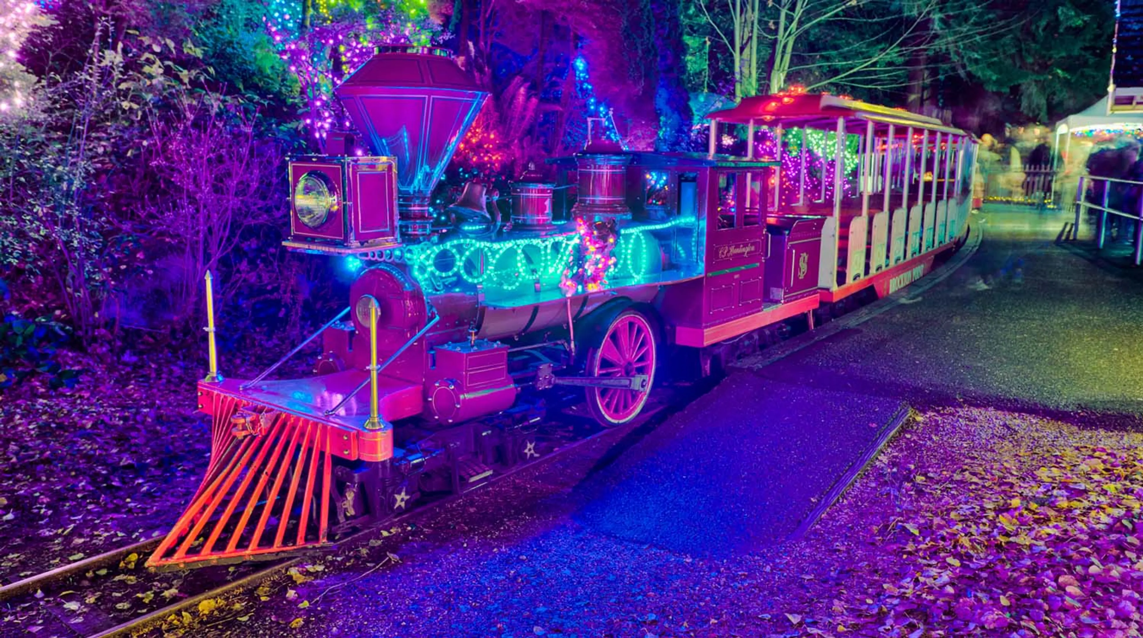 Bright Lights Train in Stanley Park