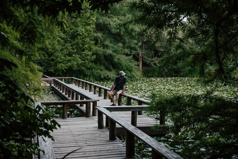 Find Tranquility at These Urban Oases