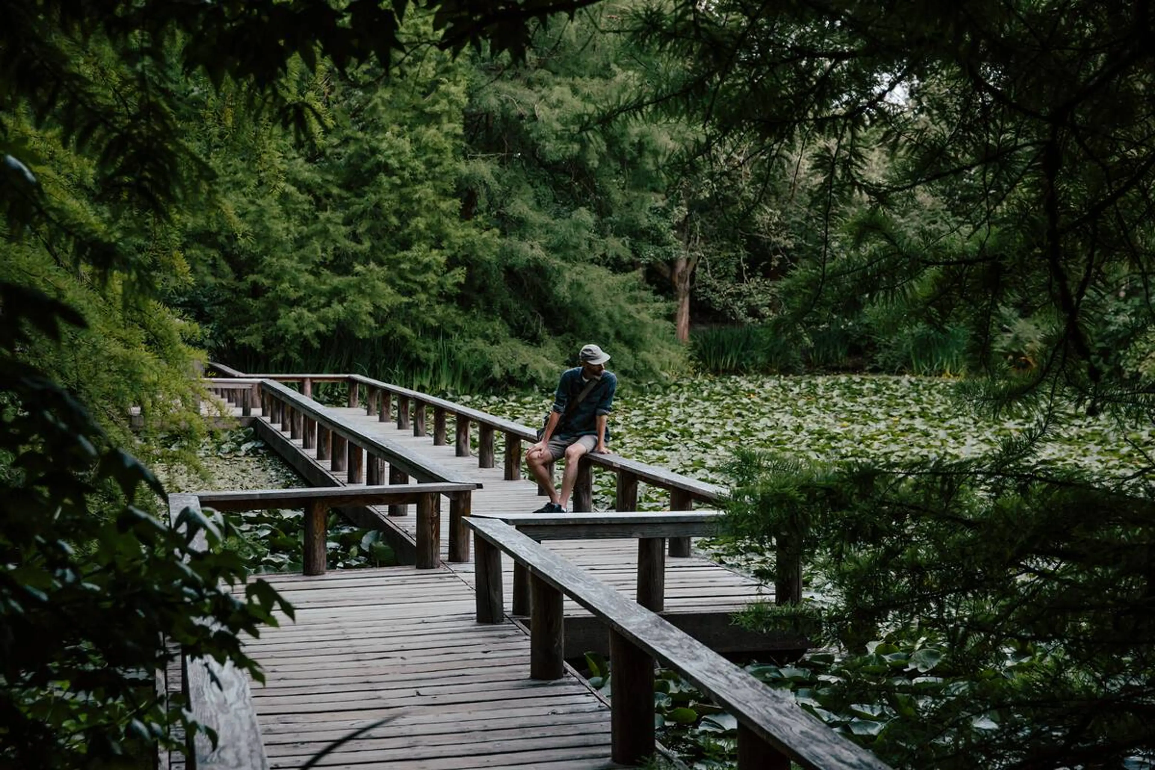 Find Tranquility at These Urban Oases