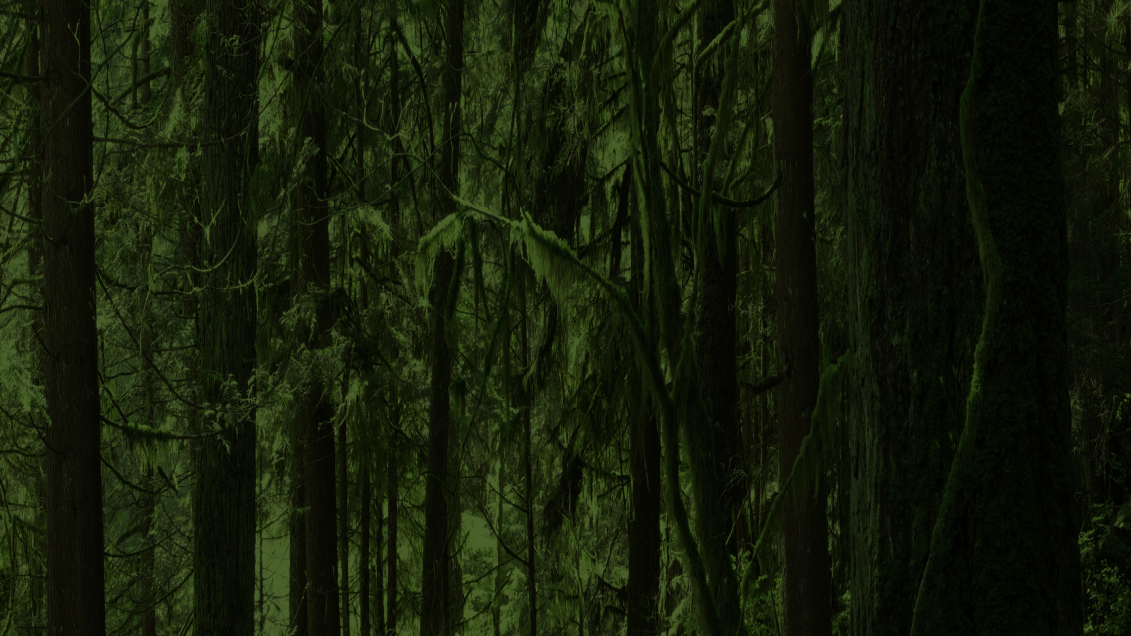 image background