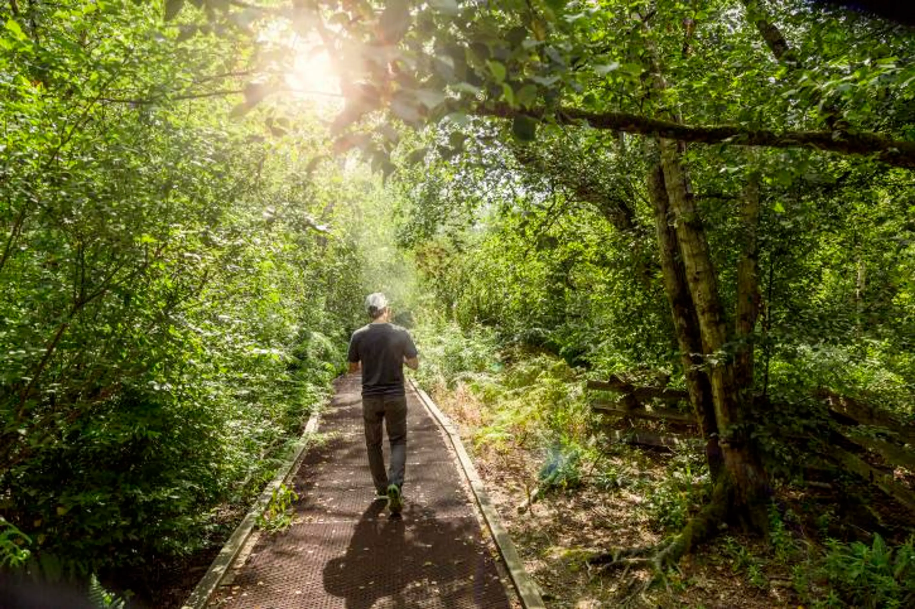 Forested trail in Richmond Nature Park near Vancouver