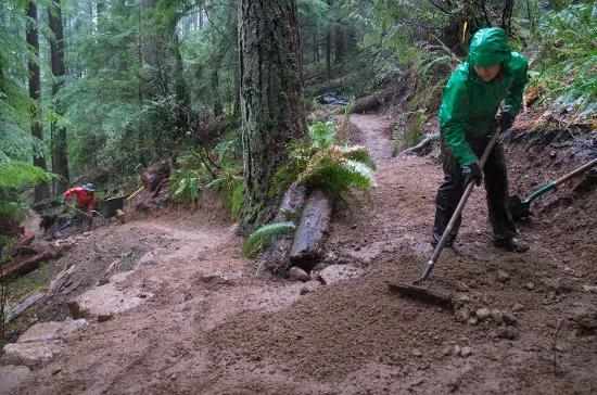 photo: Euan Forrester