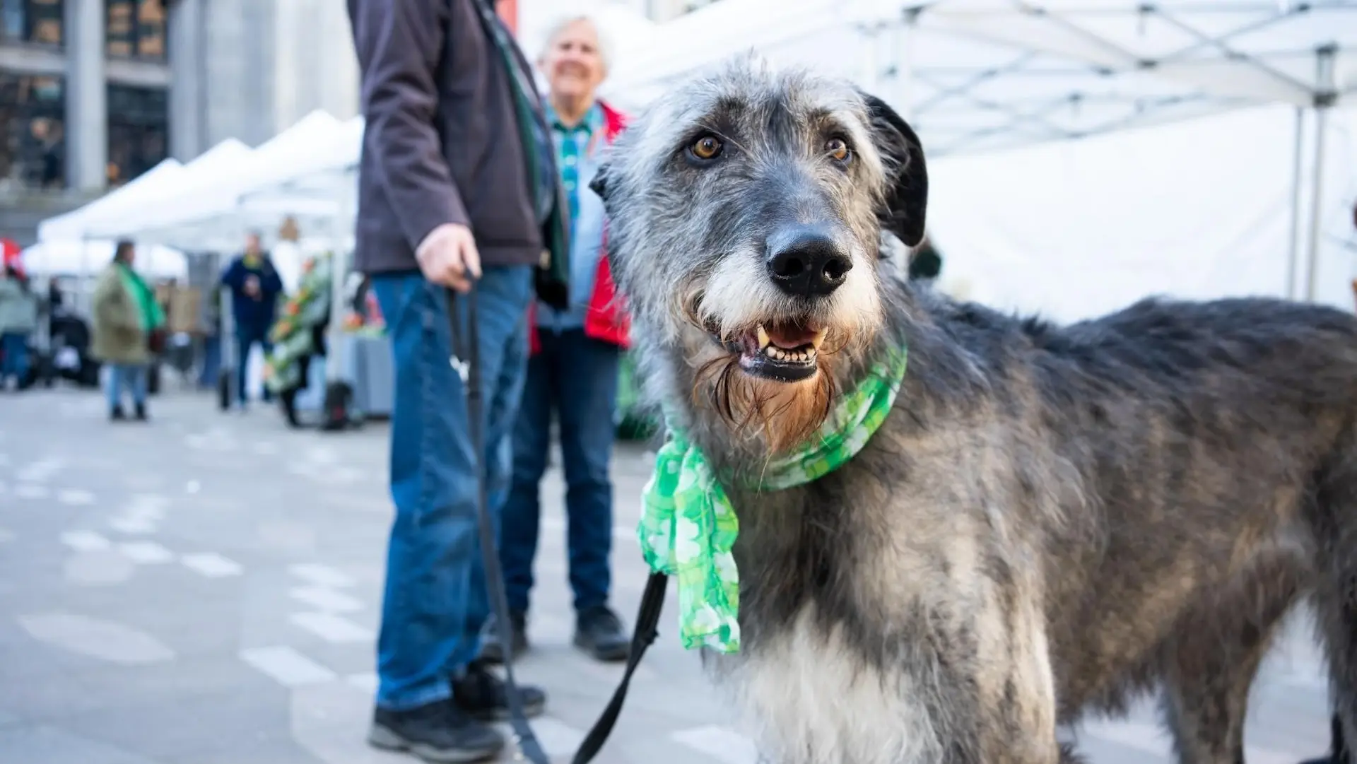 CelticFest Vancouver 2025
