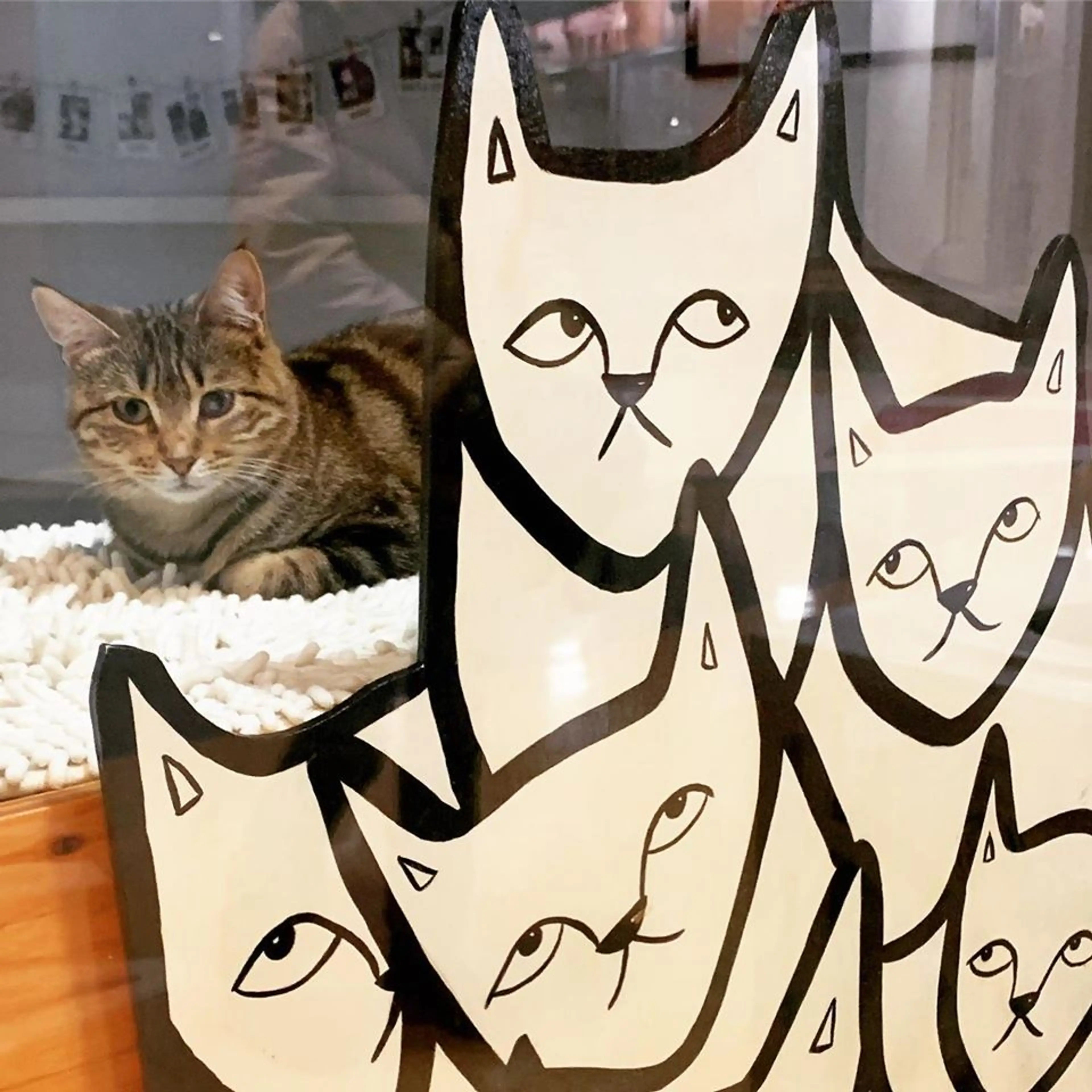 Unique thing to do in Vancouver #463: Cat Life Drawing Workshop!