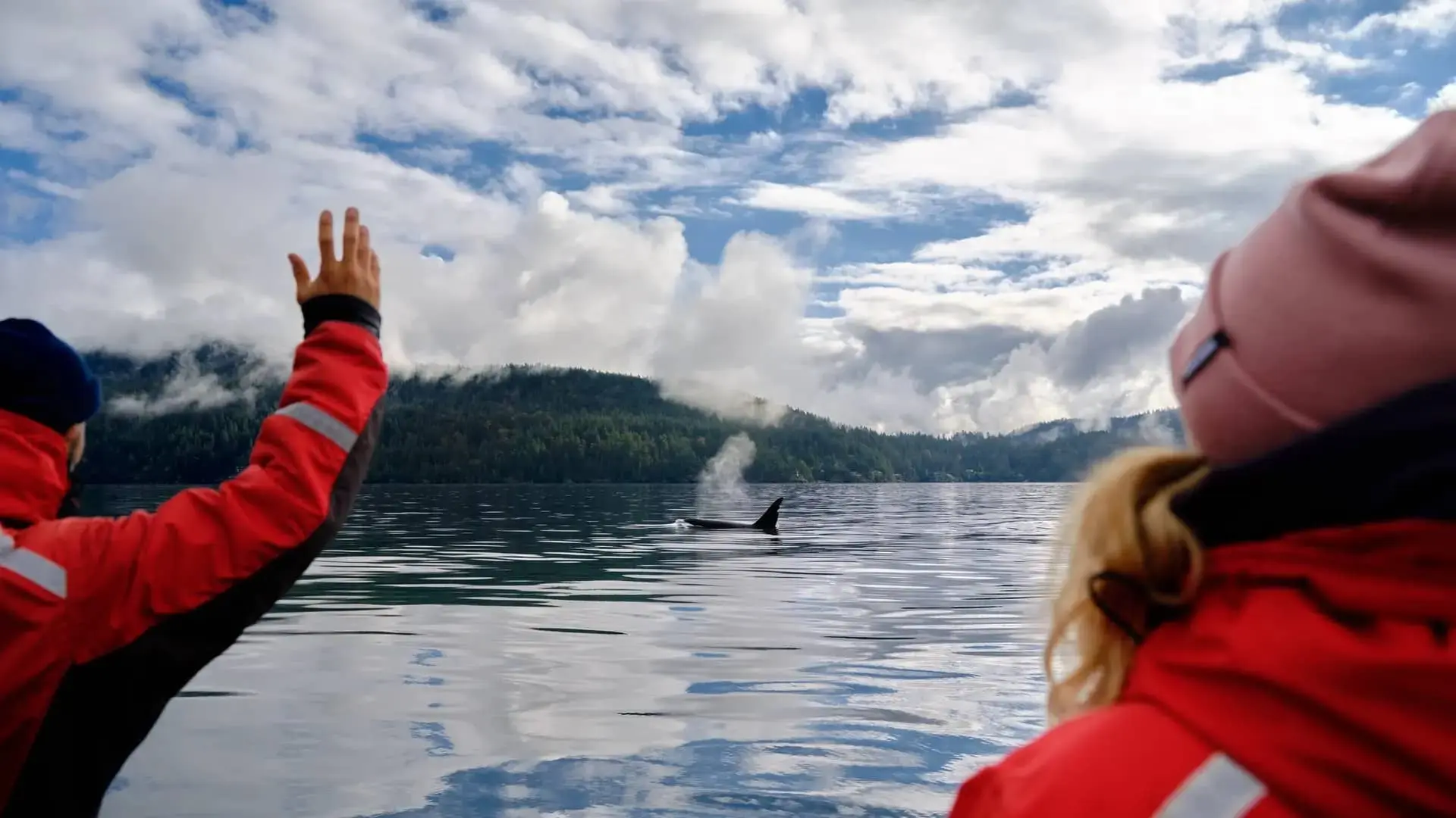 Two people on a boat watching a whale from a far