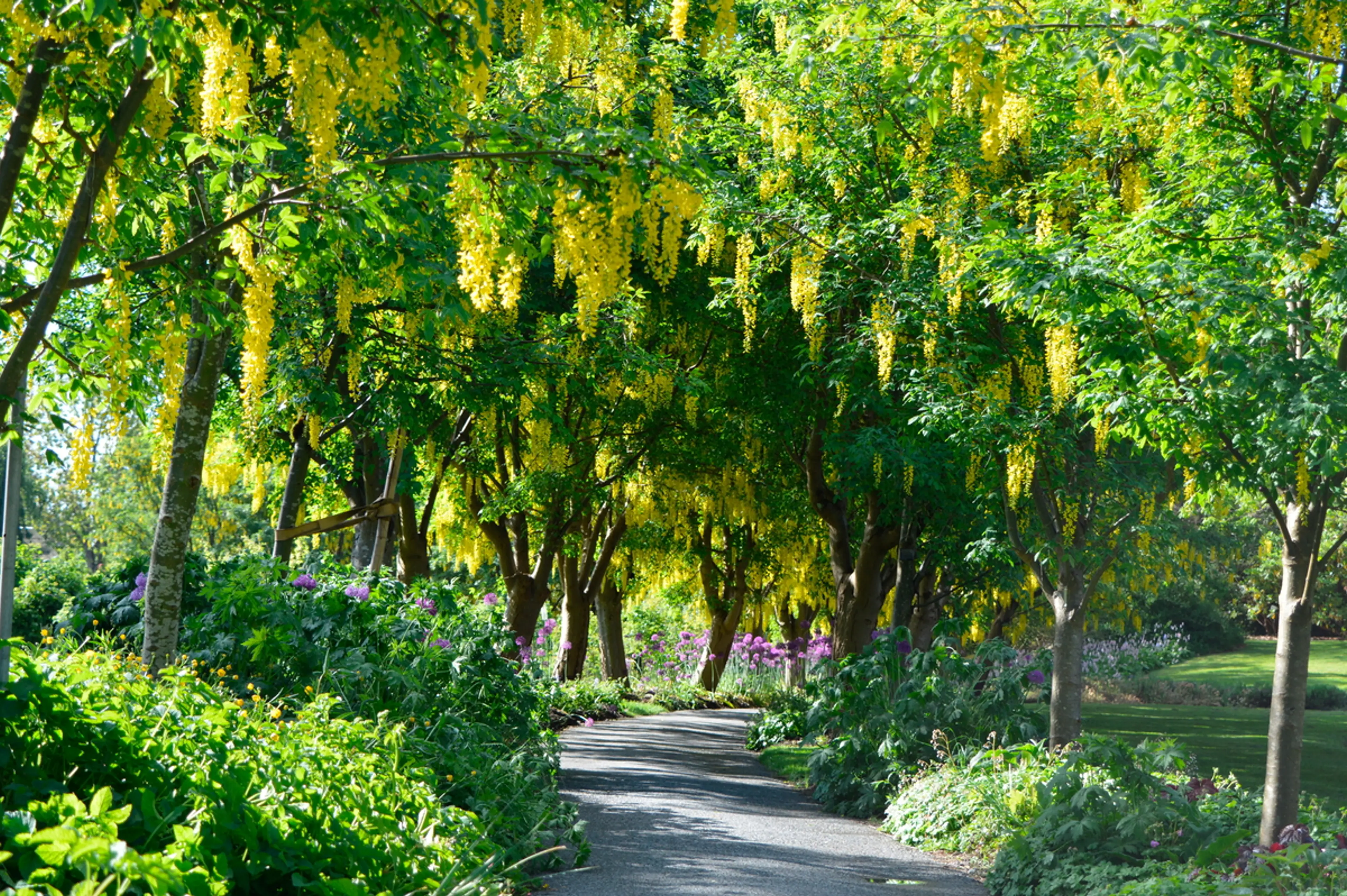 10 Instagrammable Spring Locations Around Vancouver