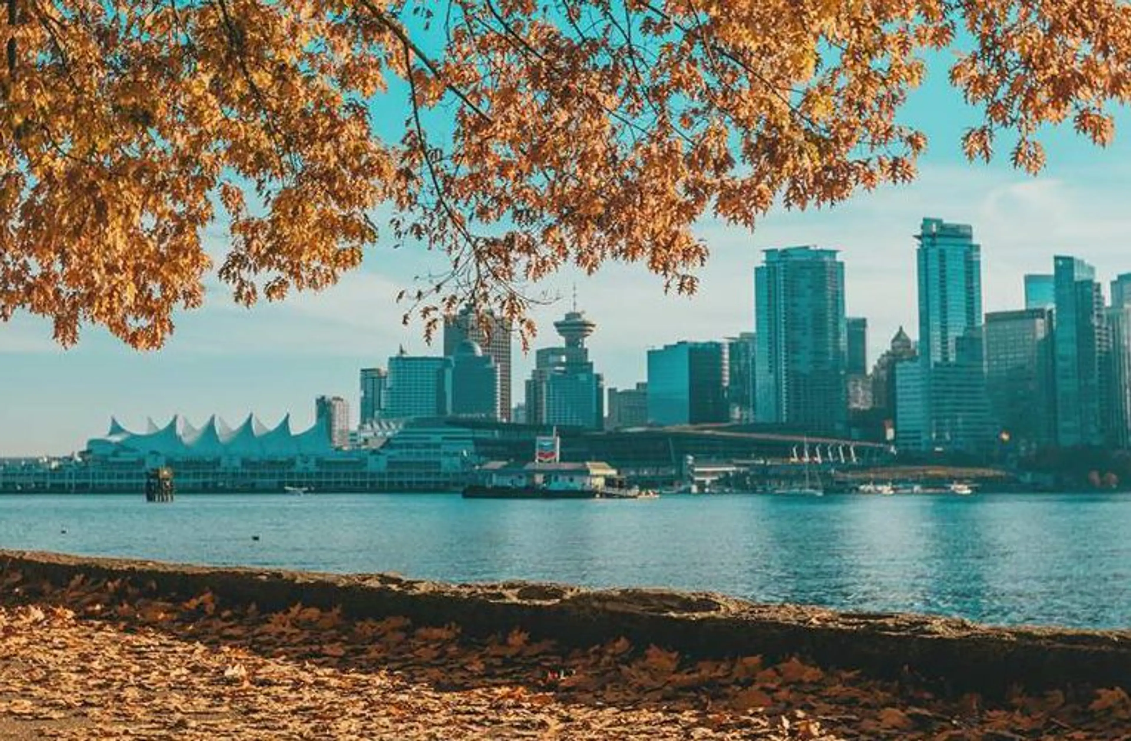 autumn essentials Vancouver
