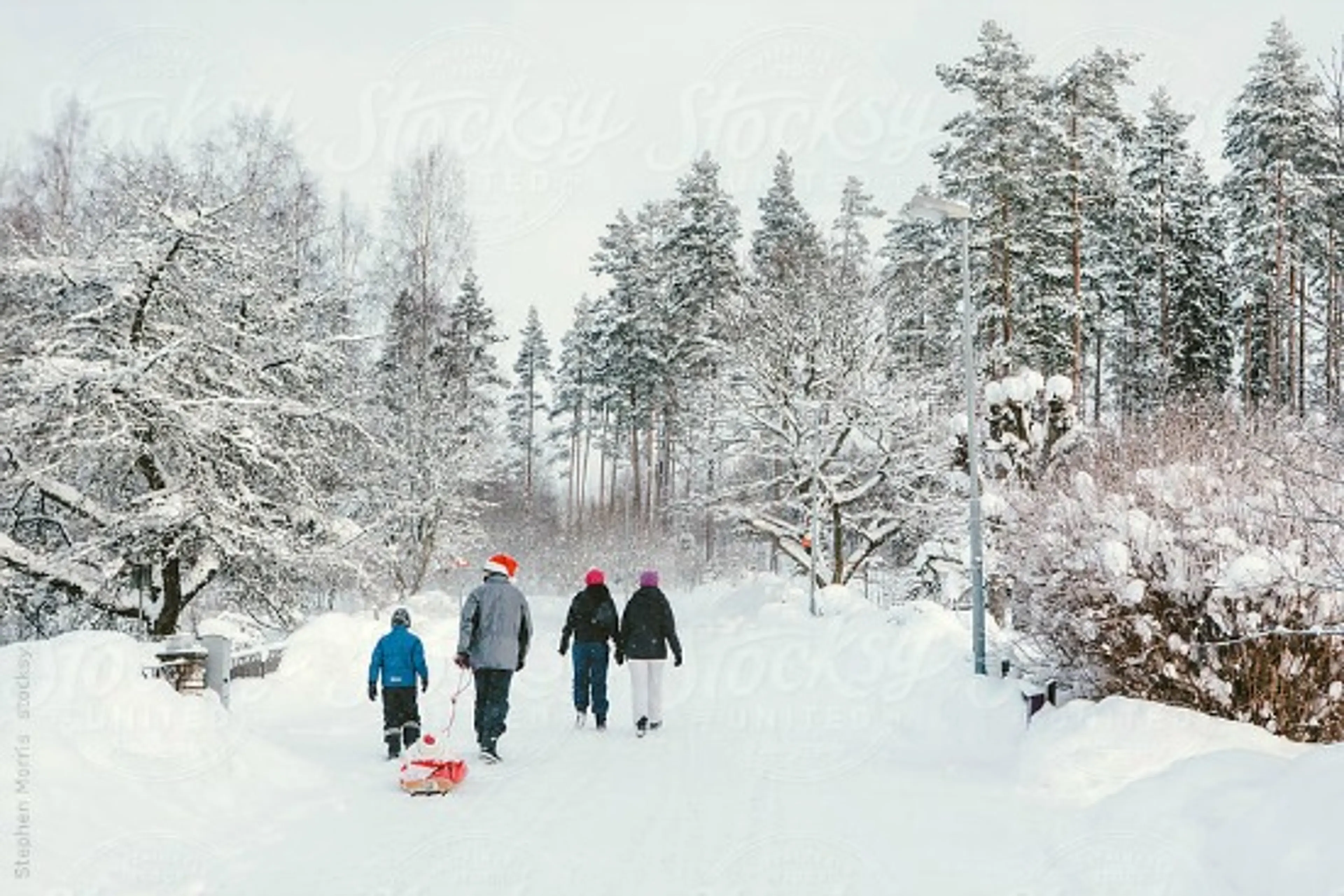 Kids In Vancouver: 5 Fun Ways To Spend Family Day