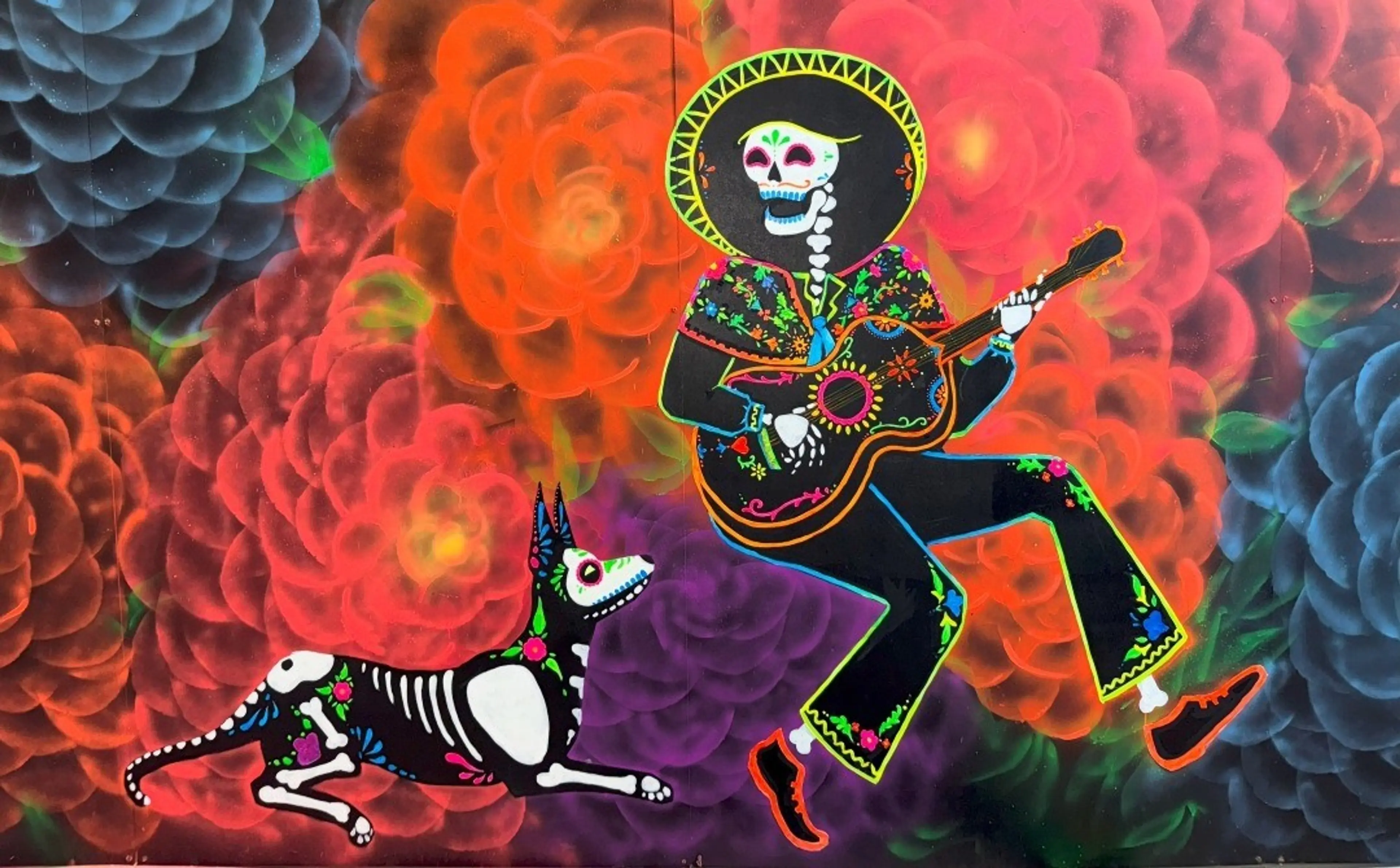 w-1080h-670-f5aaaa-IMG_0315