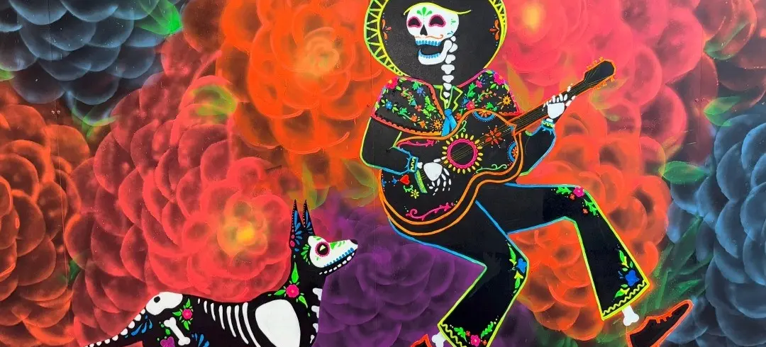 w-1080h-670-f5aaaa-IMG_0315