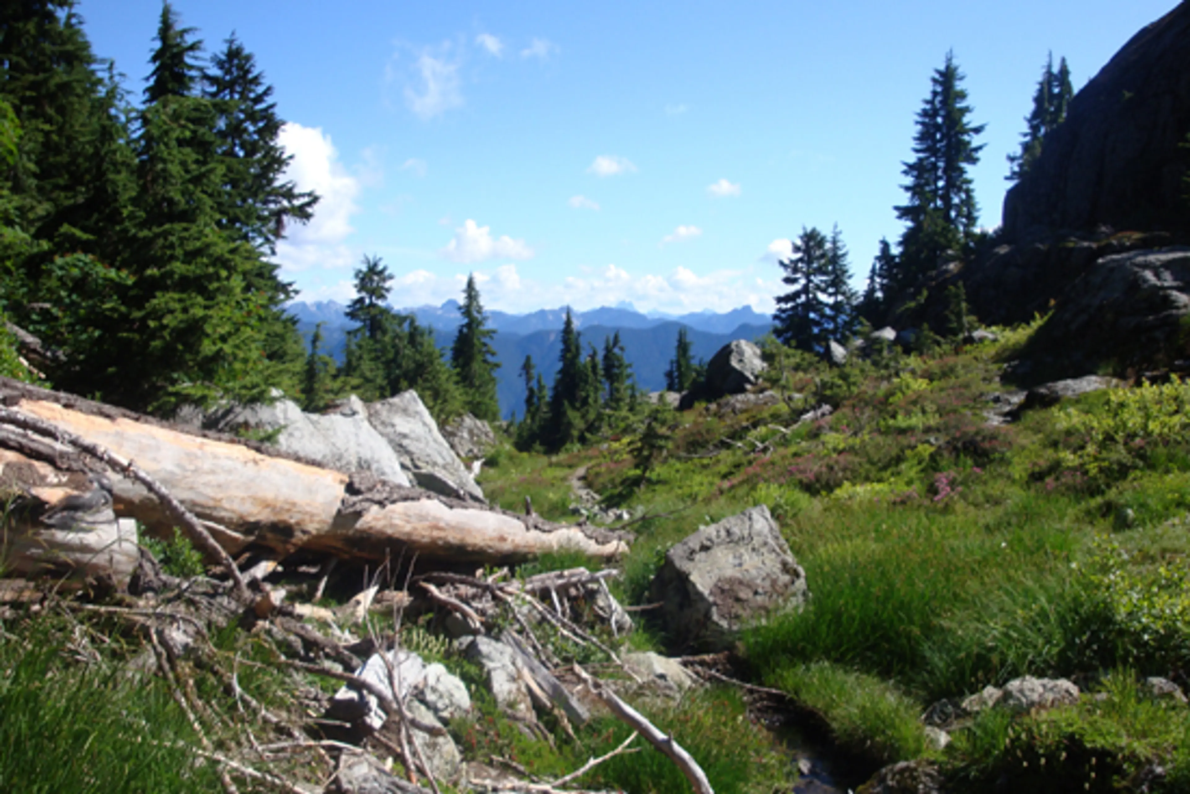 Discover Outdoors Dog Mountain3