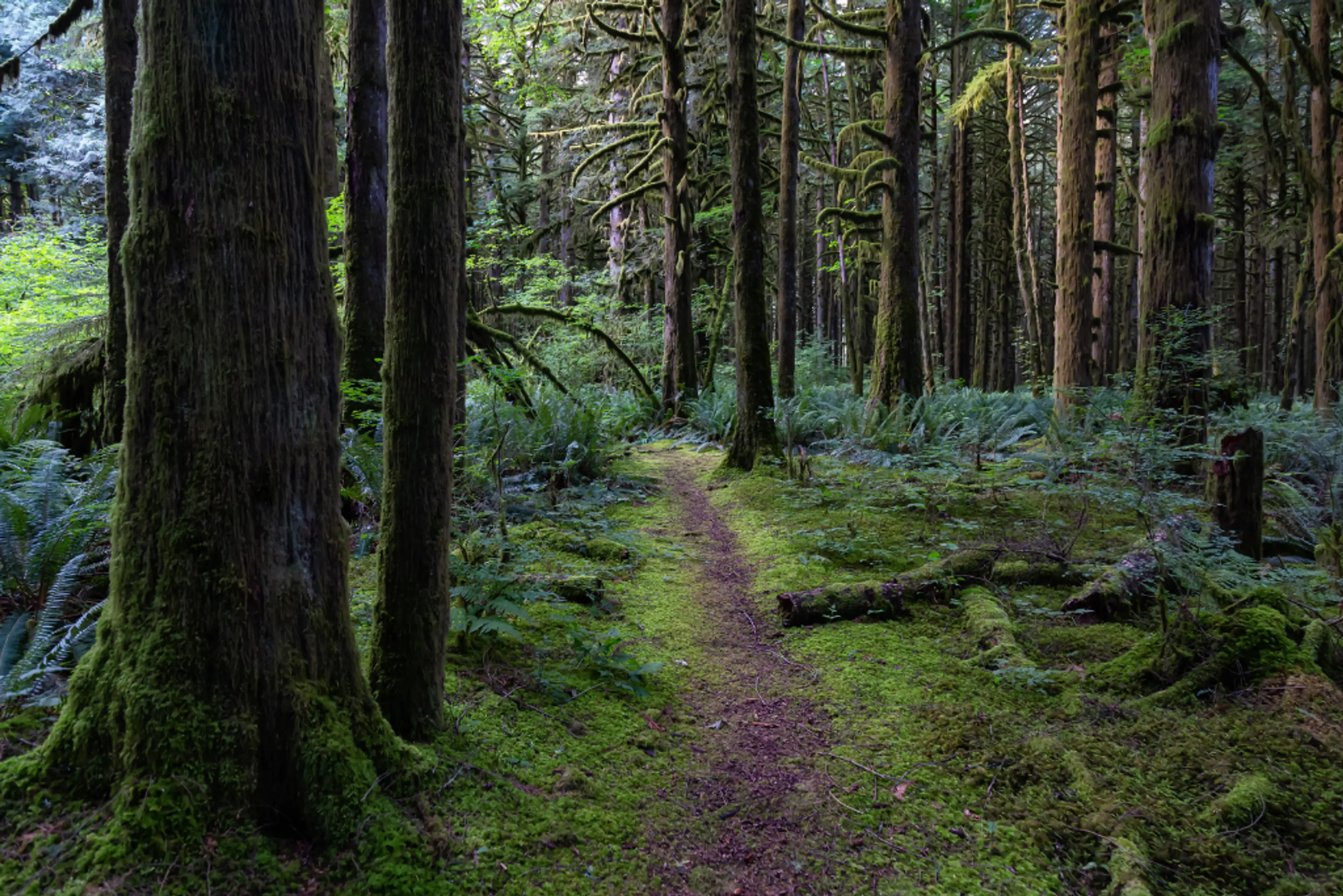 7 Things to Do at Golden Ears Provincial Park