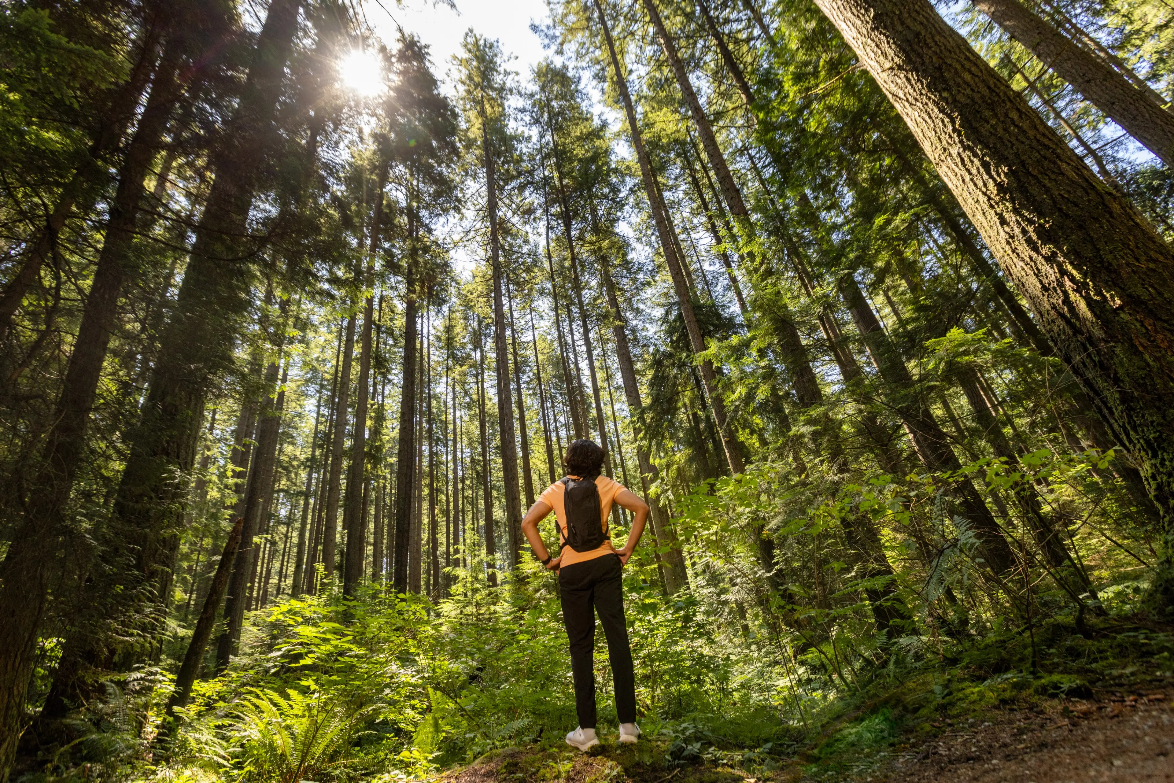 10 Must See Attractions in Vancouver