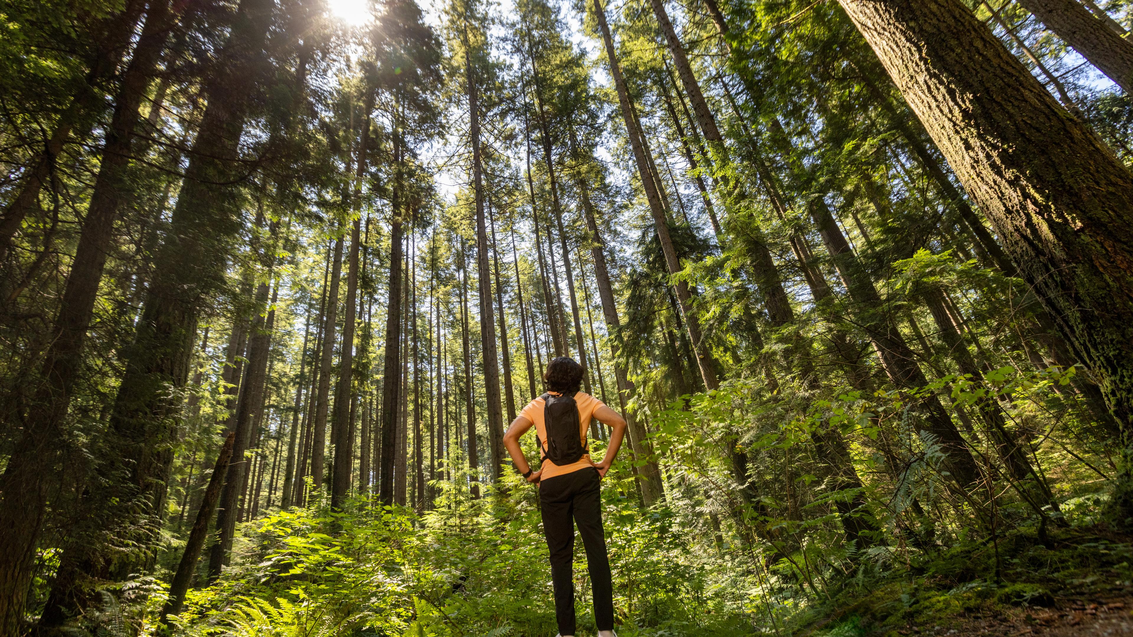 A person wearing a backpack takes a break from a trail run in Pacific Spirit Regional Park.