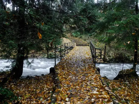 Heywood Park – An Urban Sanctuary