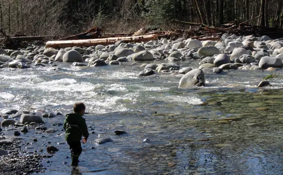 Discover-Outdoors-Lynn-Canyon8