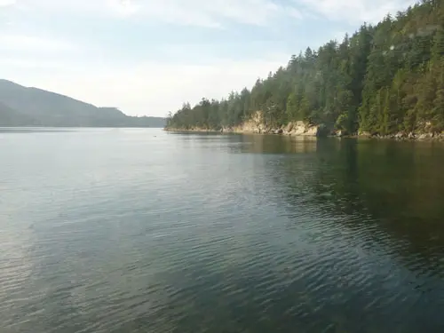 Rounding the bend on the rails