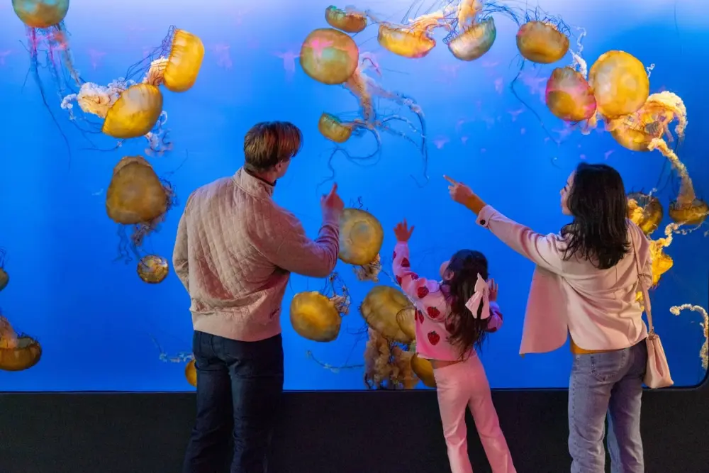 Vancouver Aquarium