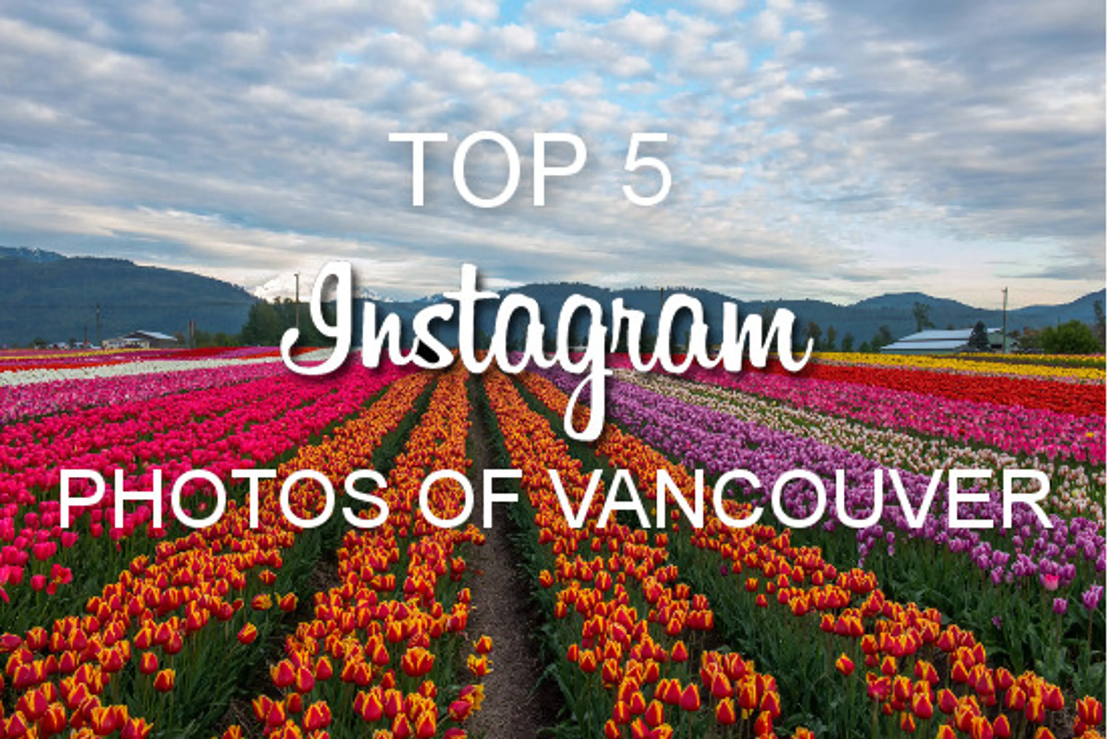 This Week’s Top 5 Instagram Photos of Vancouver