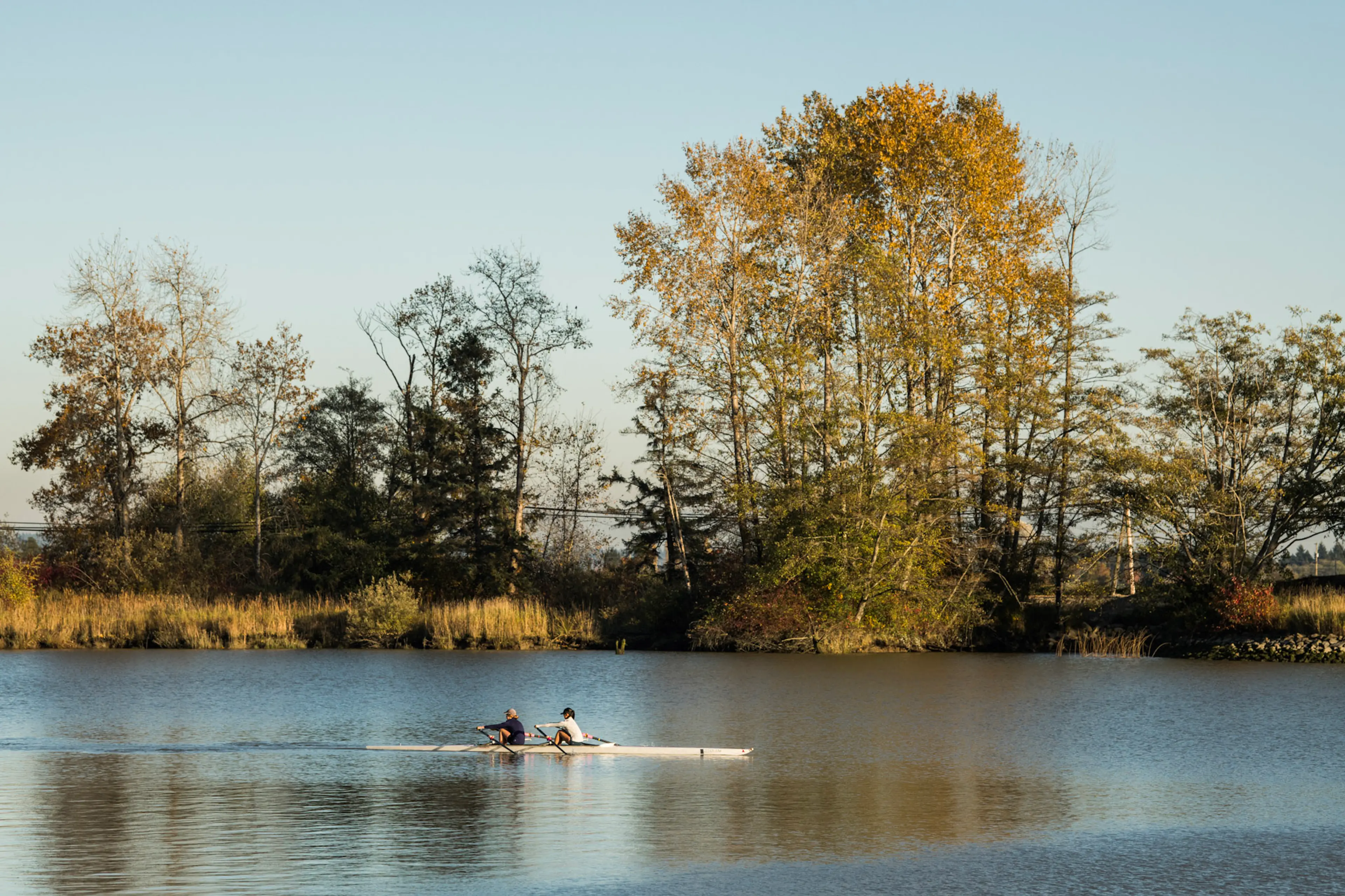 Rowers on Deas Slough at Deas Island Regional Park